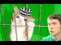 KITTY PRISONER! Miniatura