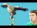 I'M A BIRD, MOTHA' F***** Miniatura