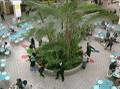 Food Court Musical Food Court Musical
