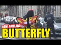 BUTTERFLY (REMI GAILLARD)