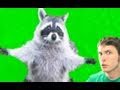 RACCOON HUG! Miniatura
