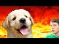 PUPPY HELL! Miniatura