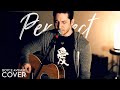 Pink - Perfect (Boyce Avenue acoustic cover) on iTunes Thumbnail