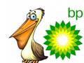 BP Oil Spill Commercial: Pelican Scrubbing!