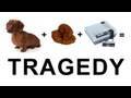 The Case of the Poopy Nintendo The Case of the Poopy Nintendo