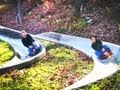 Alpine Slide Race Thumbnail
