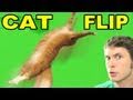 CAT FLIP! Miniatura