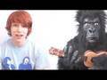 A Song About Monkeys