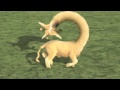Baaa Thumbnail