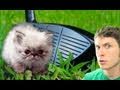 GOLF KITTY!! Miniatura