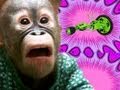 Tag Your Green Machine. Thumbnail