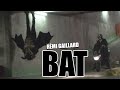 BAT (REMI GAILLARD)