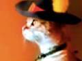 Real life PUSS IN BOOTS! Thumbnail