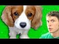CUTE TALKING PUPPY!! Miniatura