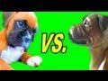 PUPPY VS. STATUE Miniatura